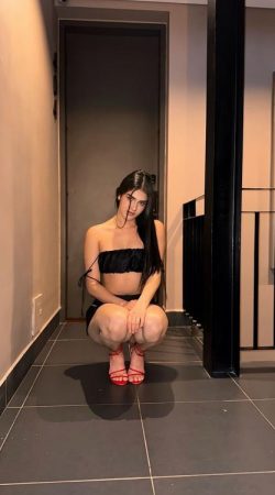 Experience Unforgettable Moments with Dakota Noir Escort Service